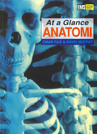 at-a-glance-anatomi