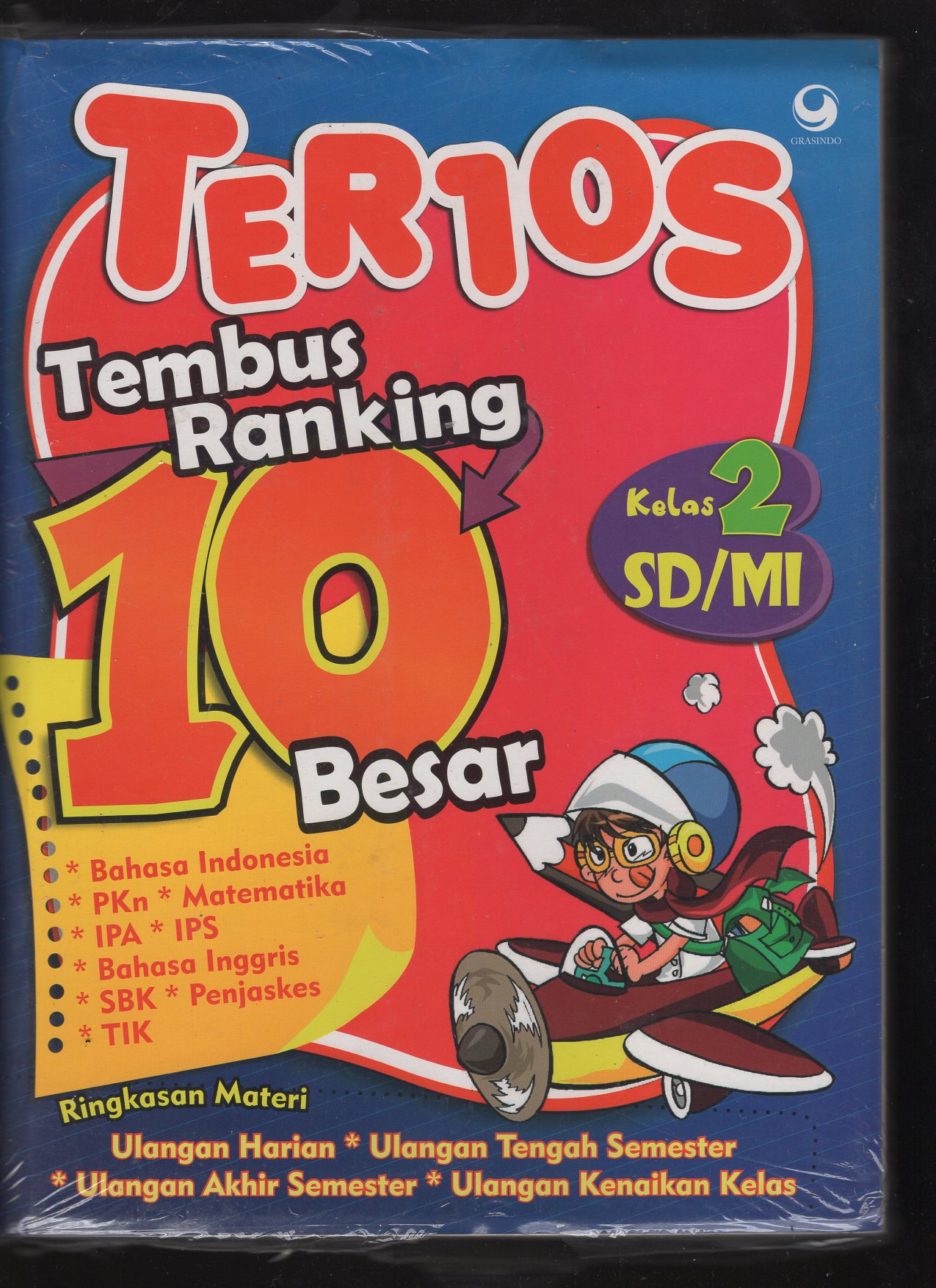 Buku tik sd kelas 2 semester 2